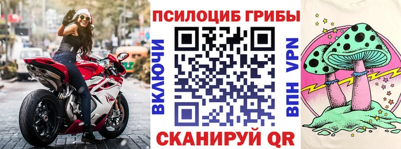 как найти закладки  Суздаль  Псилоцибиновые грибы прущие грибы 